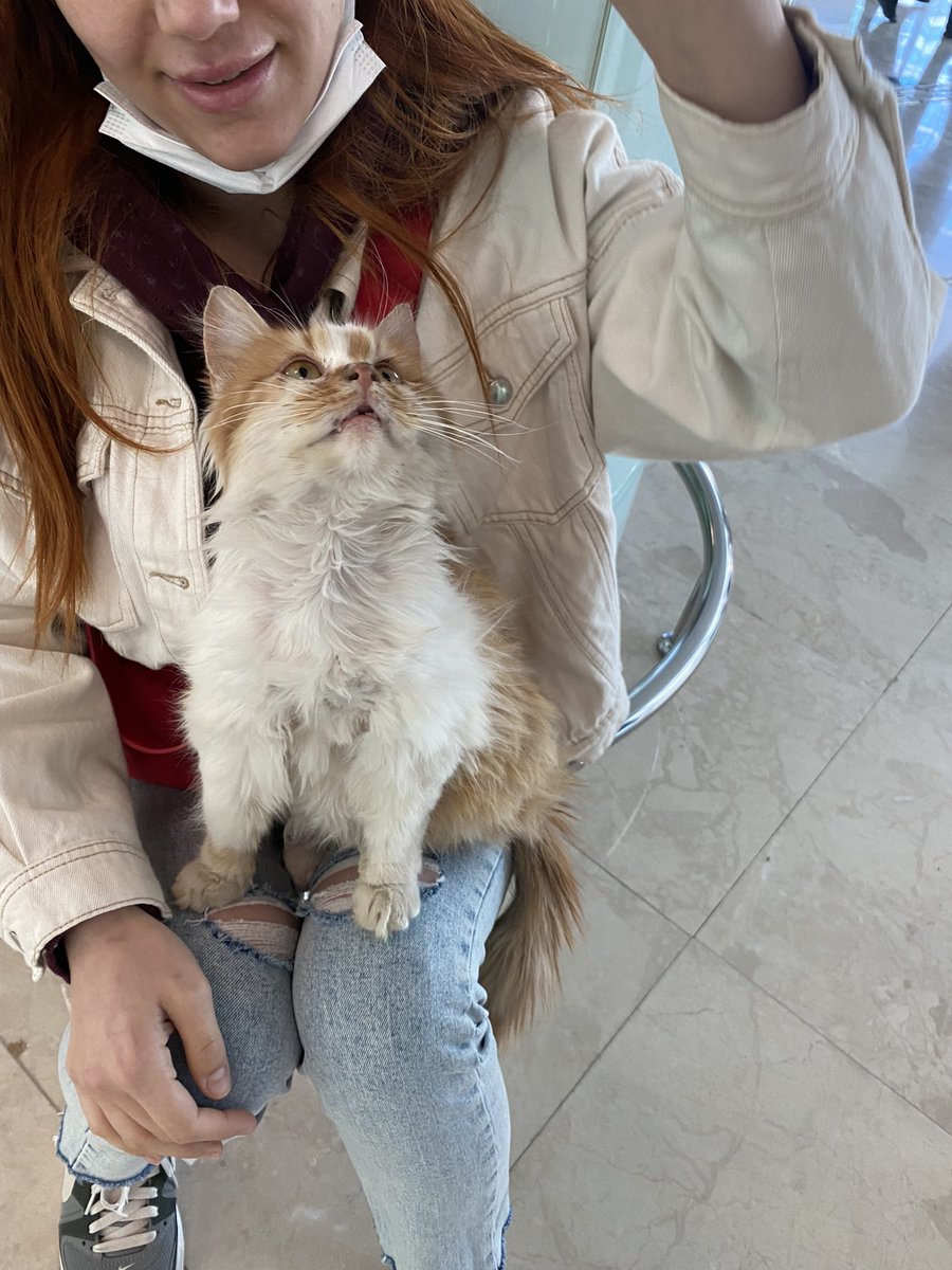 ayvilivil's tweet photo. güzel evladım bize geldiği ilk günden bu yana hep hastalıklarla uğraştı ama yine de her şeyle savaştı /savaşmaya devam ediyor 💖🥺💗 https://t.co/8Du1EvtPSE