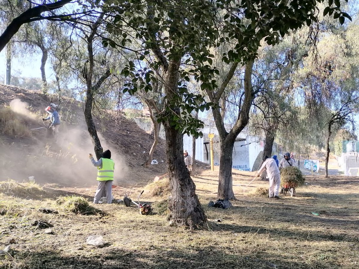 GobIzcalli's tweet photo. Trabajamos para mejorar la imagen urbana del municipio, por ello se realizaron trabajos de desmalezado en la gaza de incorporación de la Av. Morelos a la avenida Primero de Mayo, en la colonia Centro Urbano. 

#SomosFuturo 
#ElCambioQueSeNota https://t.co/RyaNxUk8yt