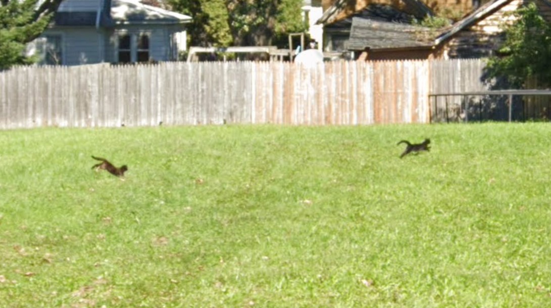 neilmburke🚸 tweet media