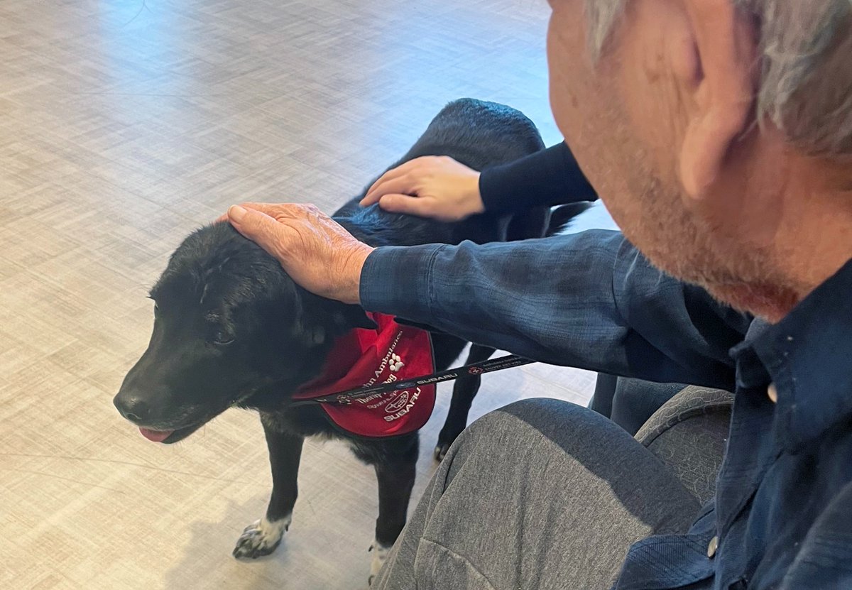 bethanycare's tweet photo. Bethany RT Kimberly enrolled her dog Gracie in the @SJA_Canada therapy dog program and now brings her to work, knowing pet therapy's positive effects on her residents.
#PetTherapy #BethanyCareSociety #StJohnAmbulance #CreatingCaringCommunities https://t.co/9kKbmjG8jQ