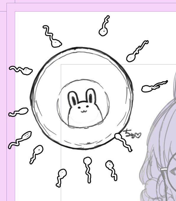 うさぎさんが住んでる卵子のラフ絵みてみて 