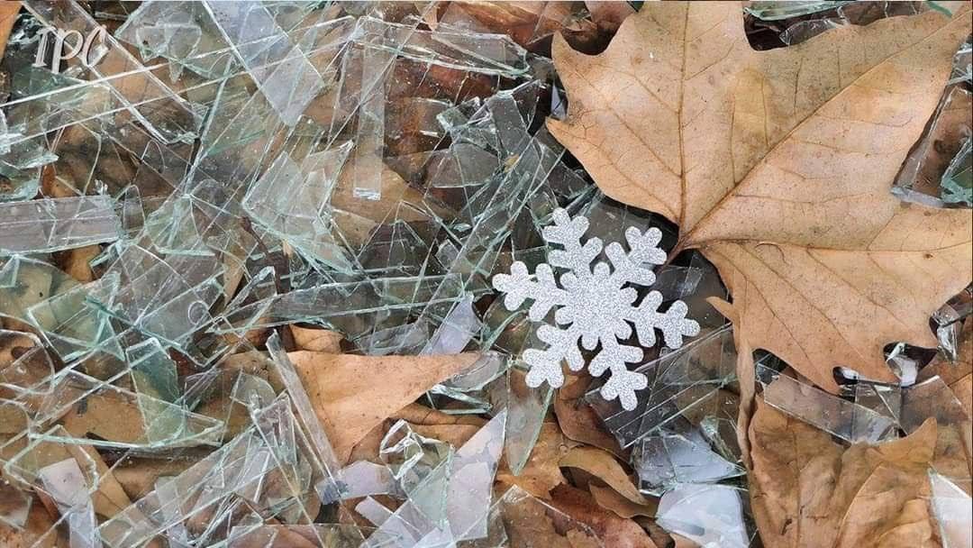 Smilingl8dy tweet media