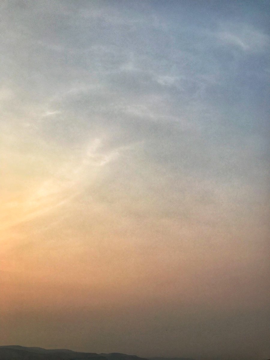 bipolaroidboy's tweet photo. @MaryleeBurman iPhone 8 https://t.co/0aMvIUwDzB