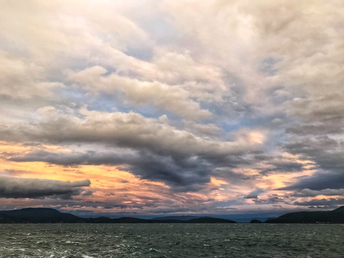 bipolaroidboy's tweet photo. @MaryleeBurman iPhone 8 https://t.co/0aMvIUwDzB