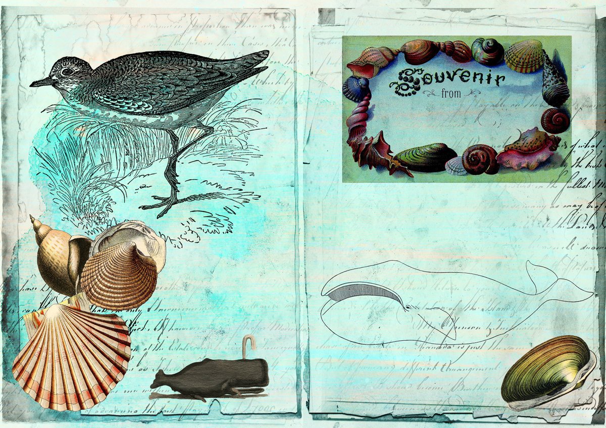 LBluart's tweet image. Sleek sellouts! 🤓. Order Junk Journal Printable Journal kit By The Sea. Junk Journal Ephemera Digital Paper at $4.00 from etsy.me/3bZ3oqn #DigitalJournal #JournalPrintable