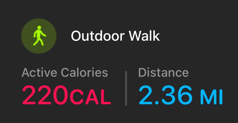 Outdoor walk with the 🐕 and 💍 👰‍♀️