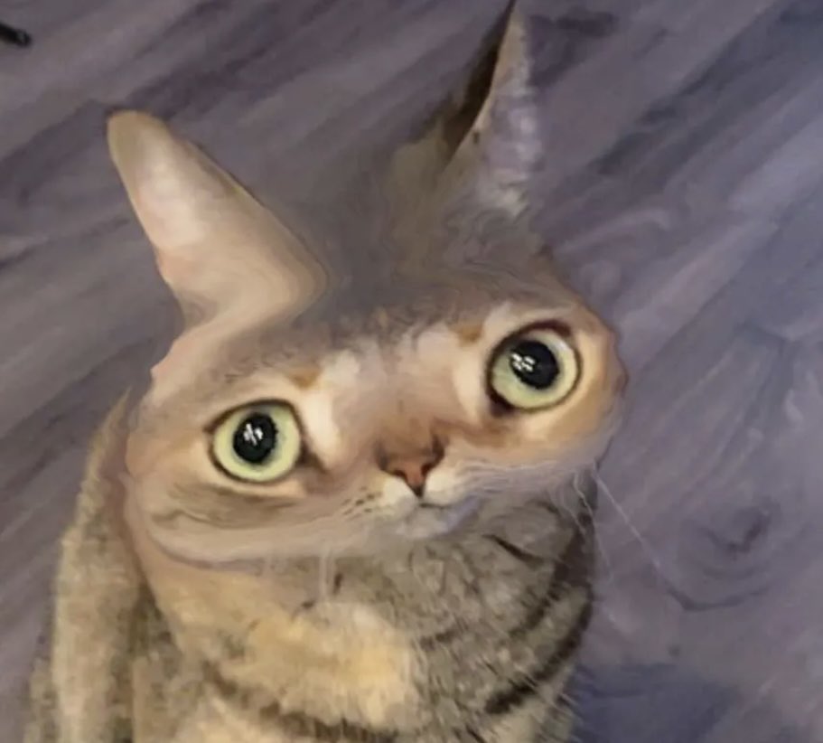 Scott Marshall tweet media