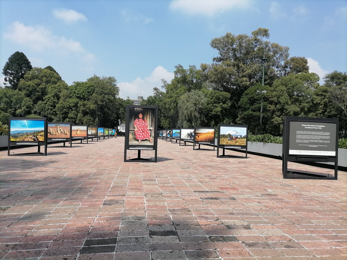 CONANP_mx's tweet photo. La #Conanp mostró parte de las #ÁreasNaturalesProtegidas en una exposición fotográfica en la Primera Sección del @ChapultepecCDMX, en la Ciudad de México. 🌲📷✨

Conoce más ➡️ https://t.co/JJivSndyKQ #RecuentoConanp2022 🌿🌊🏜️🐻🐸🐦🐝🦎🌺🏝️🐠🐙🐳🦀🦇🦩🦜🍄🪸⛰️🌵🌸 https://t.co/kKzscq1Jb1