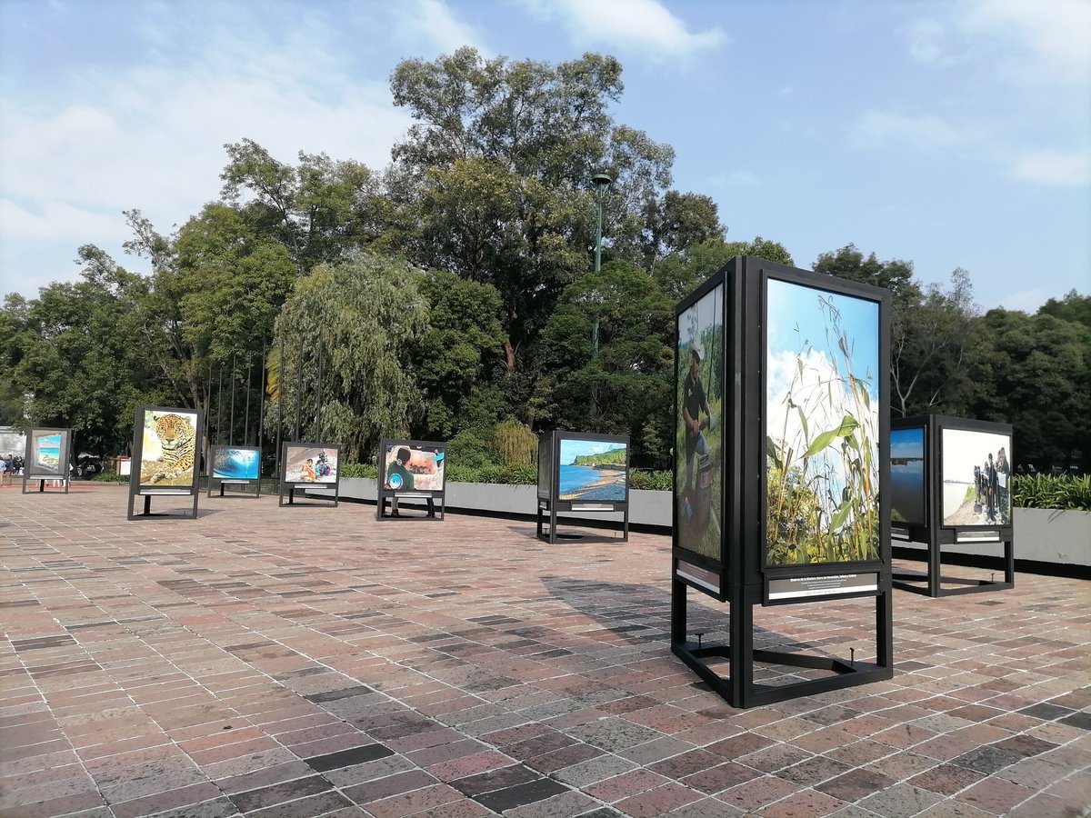 CONANP_mx's tweet photo. La #Conanp mostró parte de las #ÁreasNaturalesProtegidas en una exposición fotográfica en la Primera Sección del @ChapultepecCDMX, en la Ciudad de México. 🌲📷✨

Conoce más ➡️ https://t.co/JJivSndyKQ #RecuentoConanp2022 🌿🌊🏜️🐻🐸🐦🐝🦎🌺🏝️🐠🐙🐳🦀🦇🦩🦜🍄🪸⛰️🌵🌸 https://t.co/kKzscq1Jb1