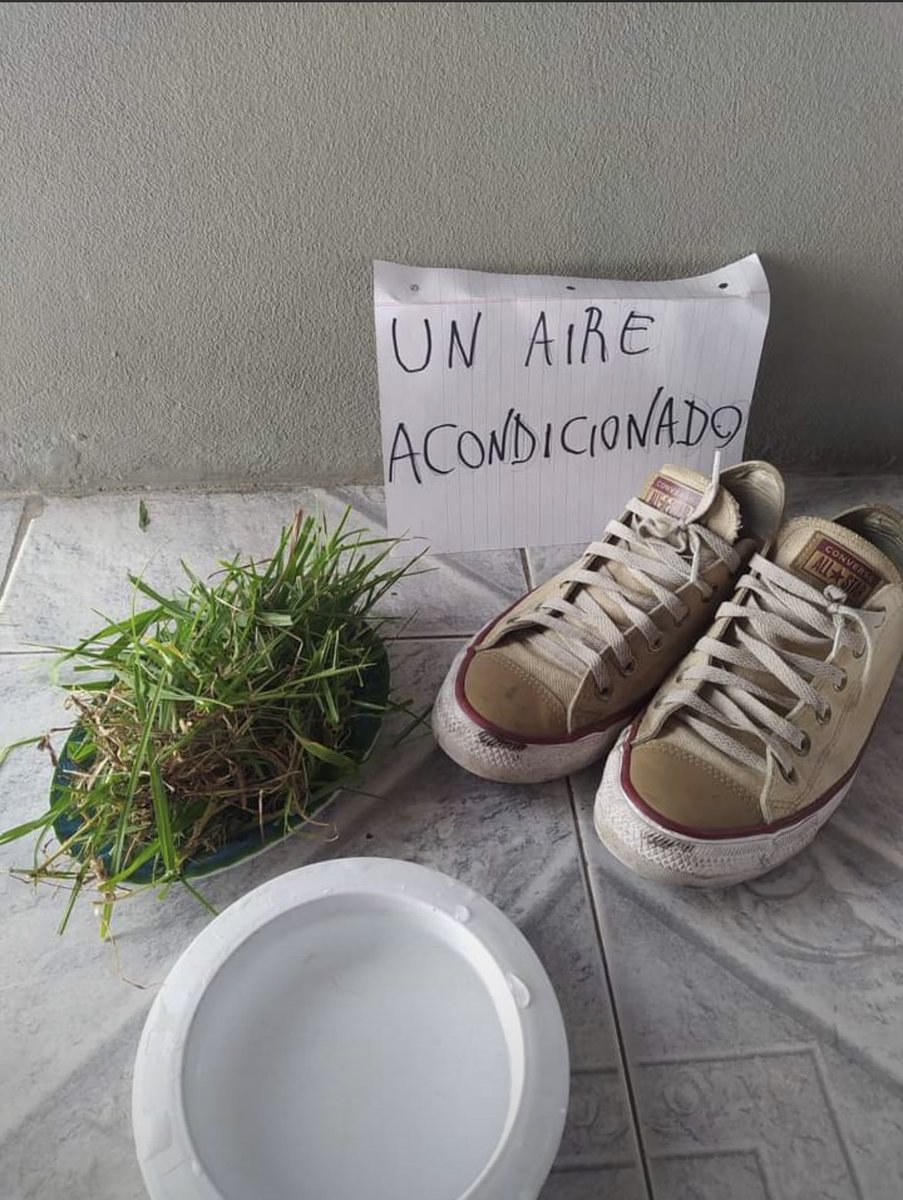 capturebizarre's tweet image. 