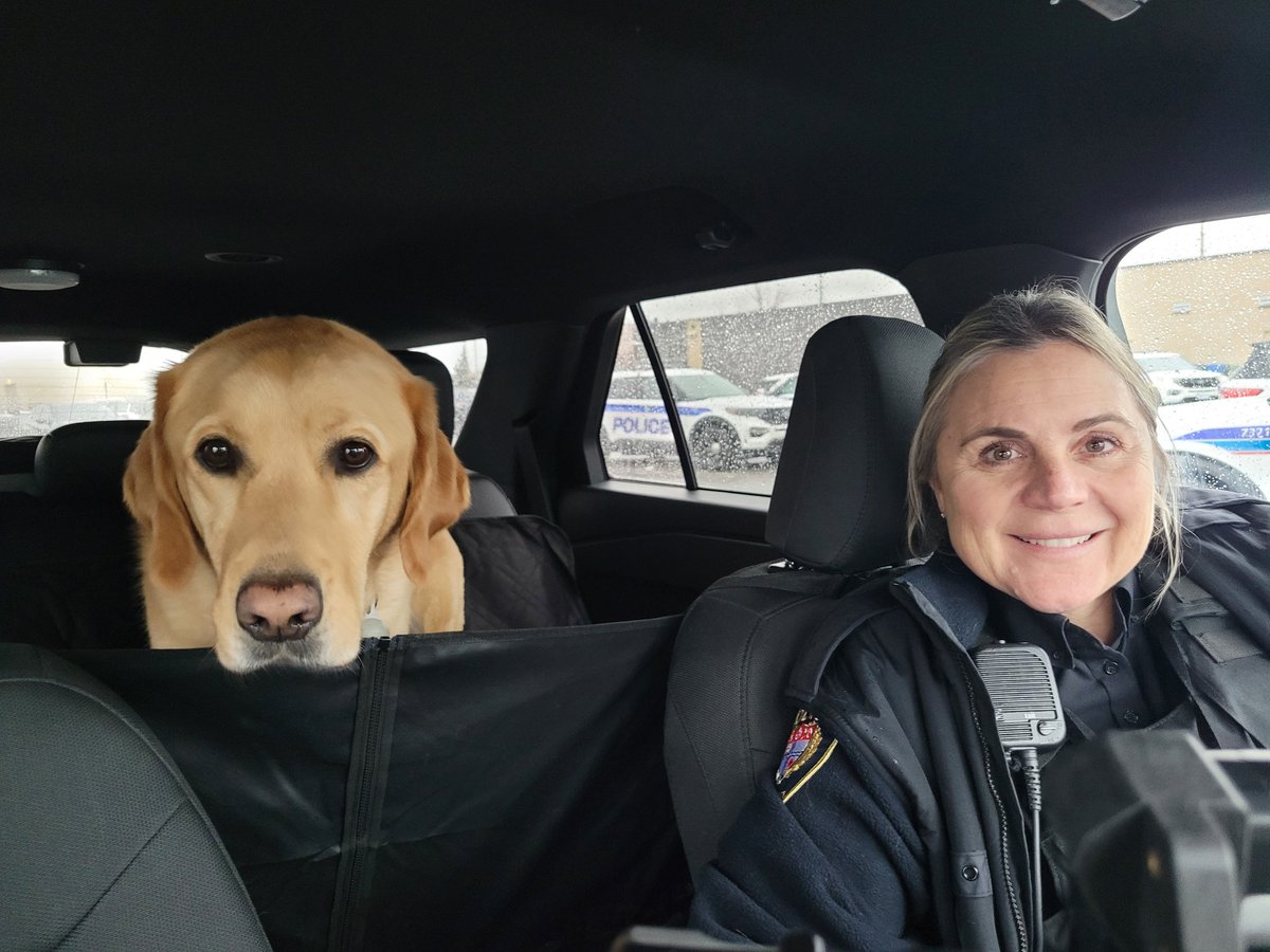 elliottd_'s tweet photo. It was an early morning parade and ride along with Duty Inspector Lemieux today. Lots of visits and stops to support members and a on scene support on the way back to the station..@K9West3 @OttawaPolice   @NatlServiceDogs #facilitydogs #workingdogs @trish_fergusonp https://t.co/3xRbia4EXj