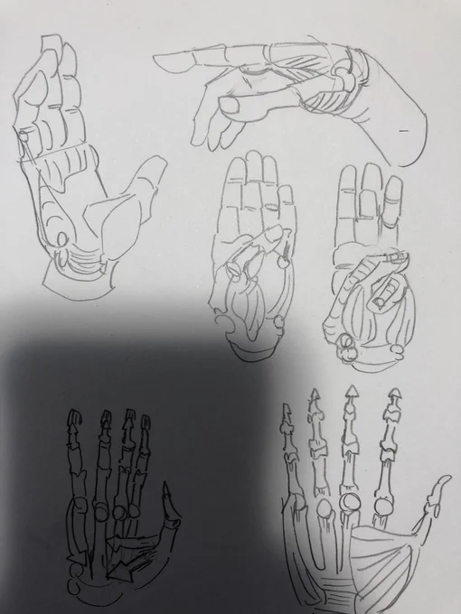 オデ…モルフォ倒す…えっちな男描くカミエシなる… 