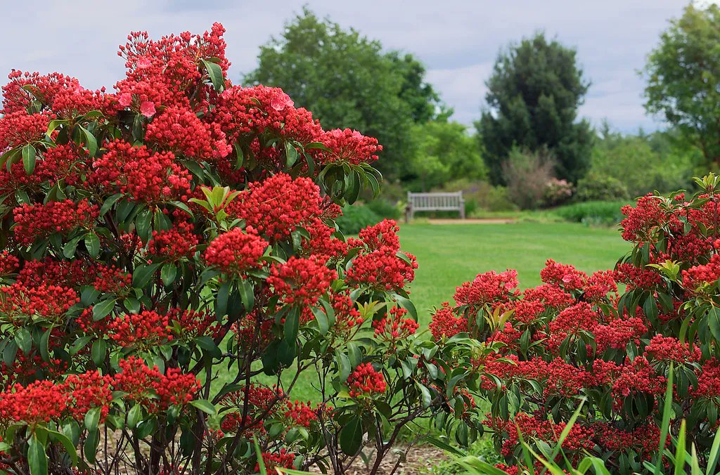 VisitNorthOfBos's tweet photo. 7 Lovely Garden Walks in Massachusetts | Massachusetts Office of Travel and Tourism https://t.co/h9acbE4sho #NorthOfBoston #VisitMA #Beverly #VisitNorthOfBoston https://t.co/Mgeca8VZTY