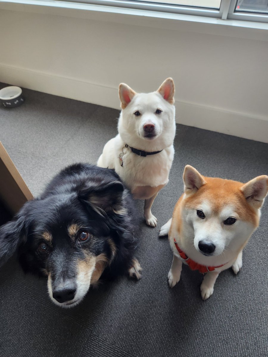 helloitsaen's tweet photo. @iri5ho we miss you https://t.co/zuTXcNHaCm