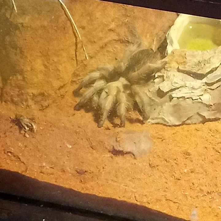 DrakeFowler18's tweet image. 