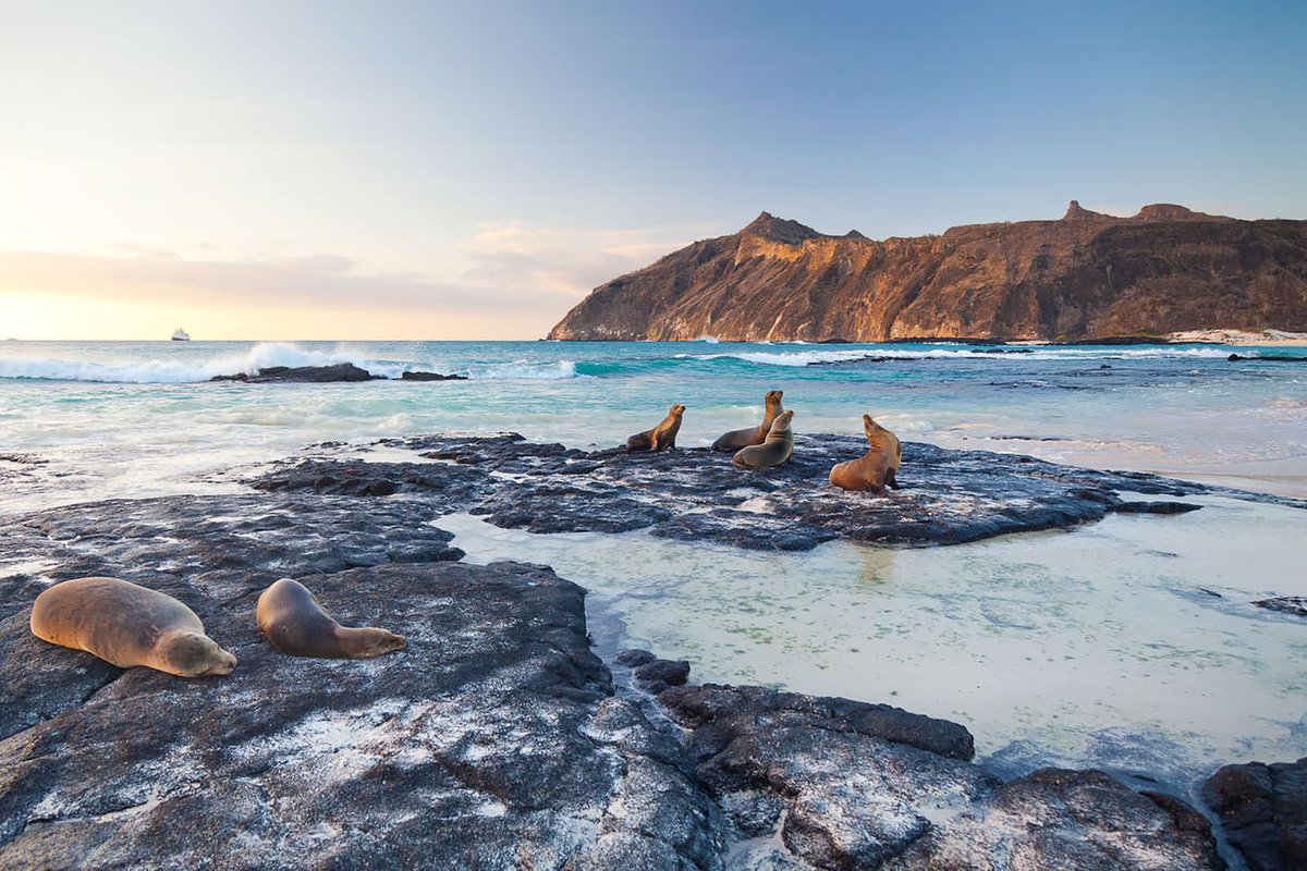 Guillermo Lasso tweet media