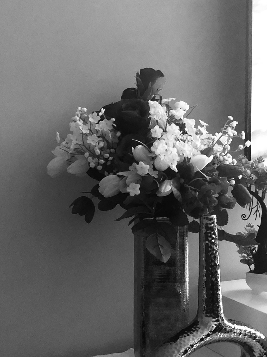 star_Trek tweet media