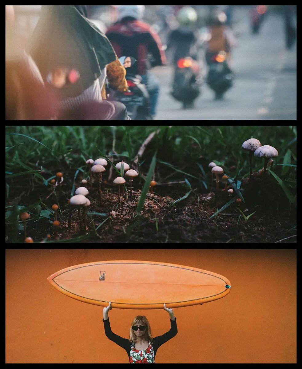 Geoff Fortune tweet media