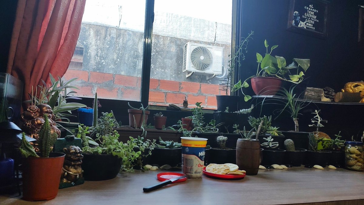 FacundoColque's tweet image. Mi rinconcito de paz💆🏻‍♂️✨