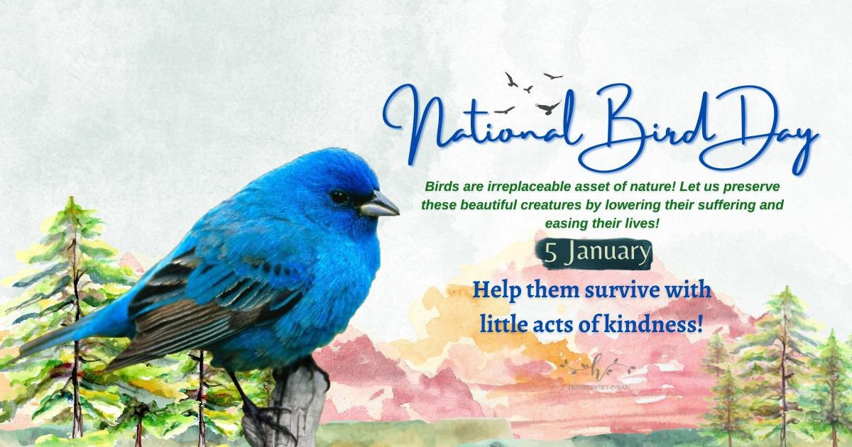The sky and the mornings without birds are just unimaginable! Birds are the lively little creatures of the planet. Let's acknowledge the importance of birds in ecosystem and endeavour to ease their struggles for survival. #NationalBirdDay