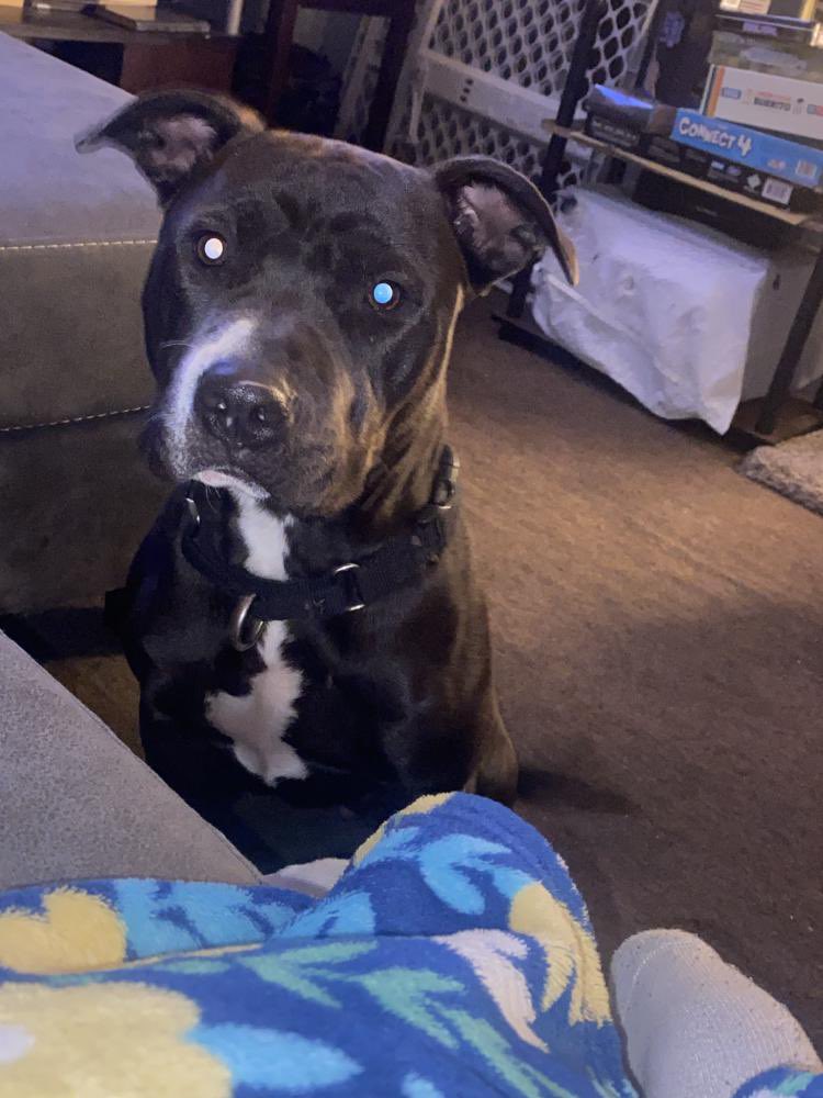 Keith Olbermann tweet media