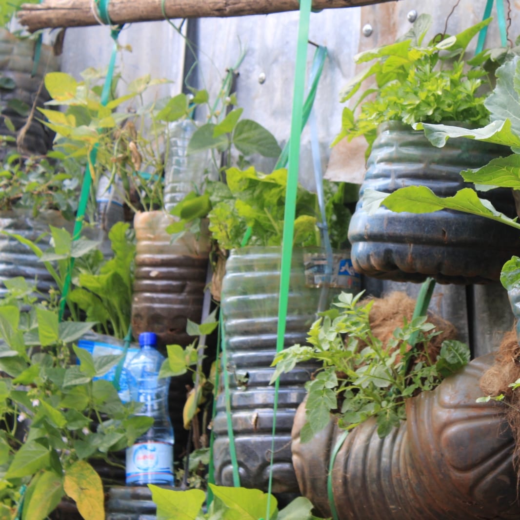 Ile wiki ya kuhydrate na skuma ndio hii! Well come back brethren! 
Chief Hustler alisema lazima ukulima na irrigation. 
Water is life!