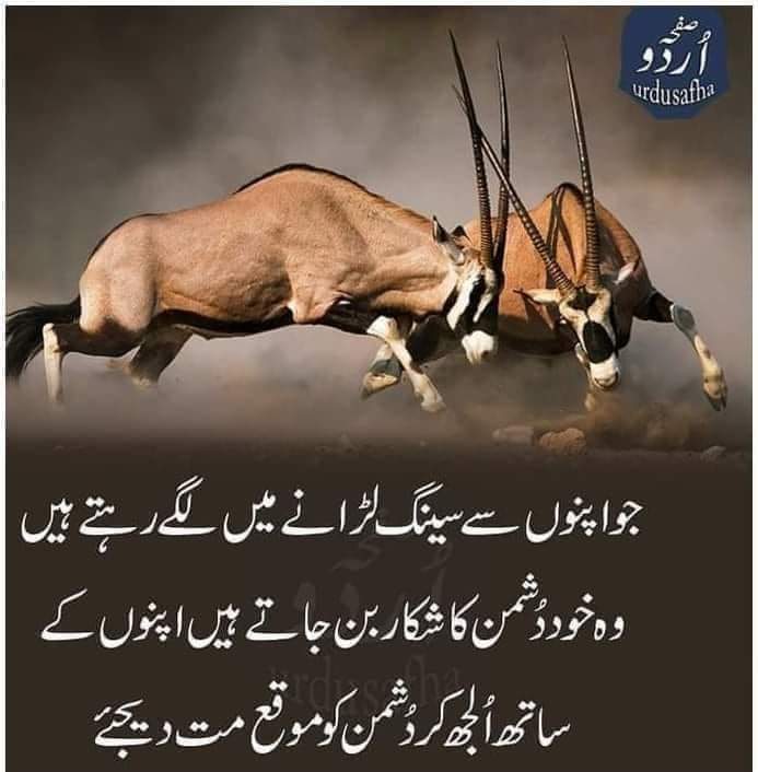 5Faimly's tweet photo. Lesson of the day🌹🌹👍 https://t.co/y55EWMeORs