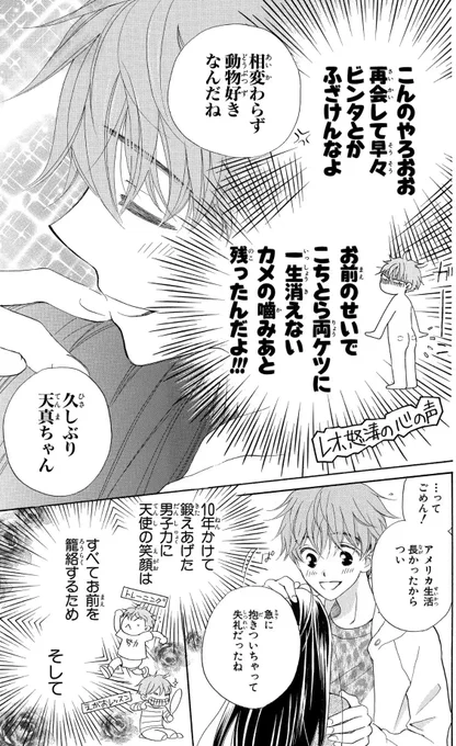 こんな感じのリリカル復讐劇です 