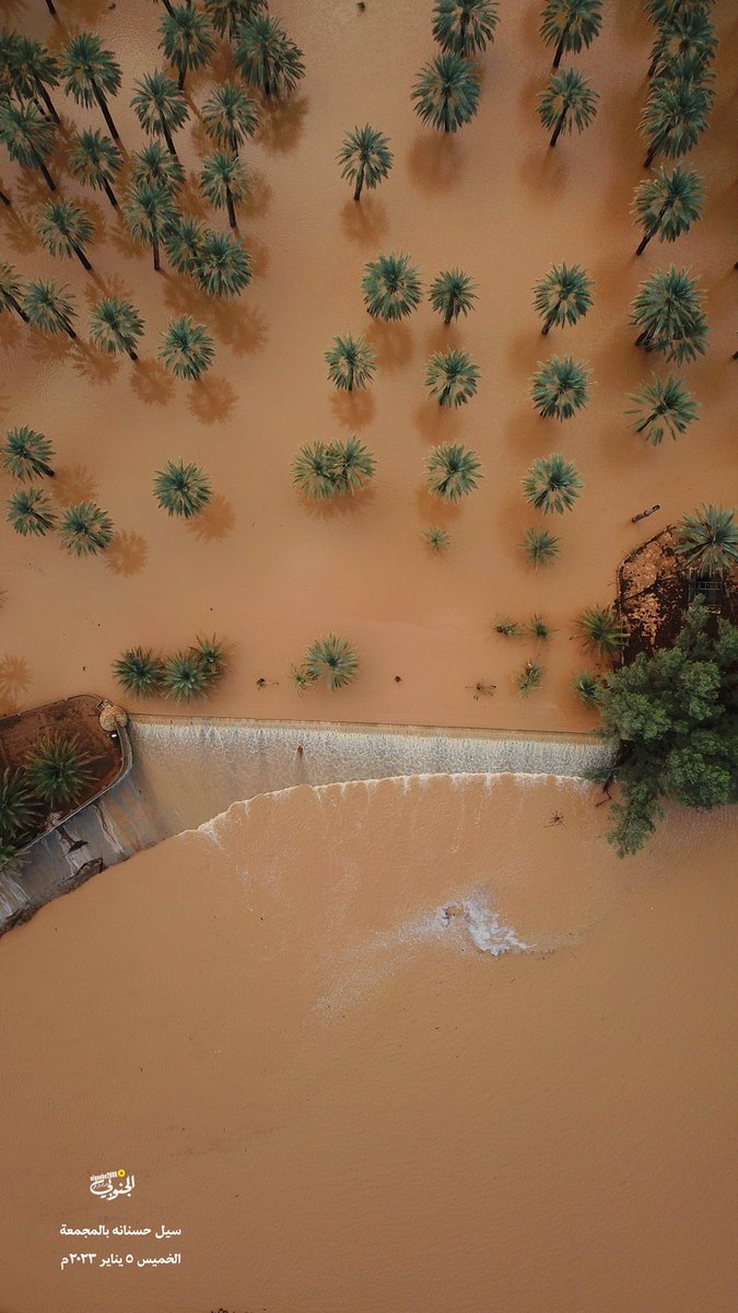 algnobe2000's tweet image. #سيول #المجمعة

شاهد تصوير جوي لجمال النخيل والسيل

من المناظر الجميلة فيها مدرج حسنانه والتقاء شعيب النزيه مع وادي المشقر الشهير في المجمعه

الخميس ٥ يناير ٢٠٢٣م

الجنوبي ٢٠٠٠

تابع صور بالاسفل