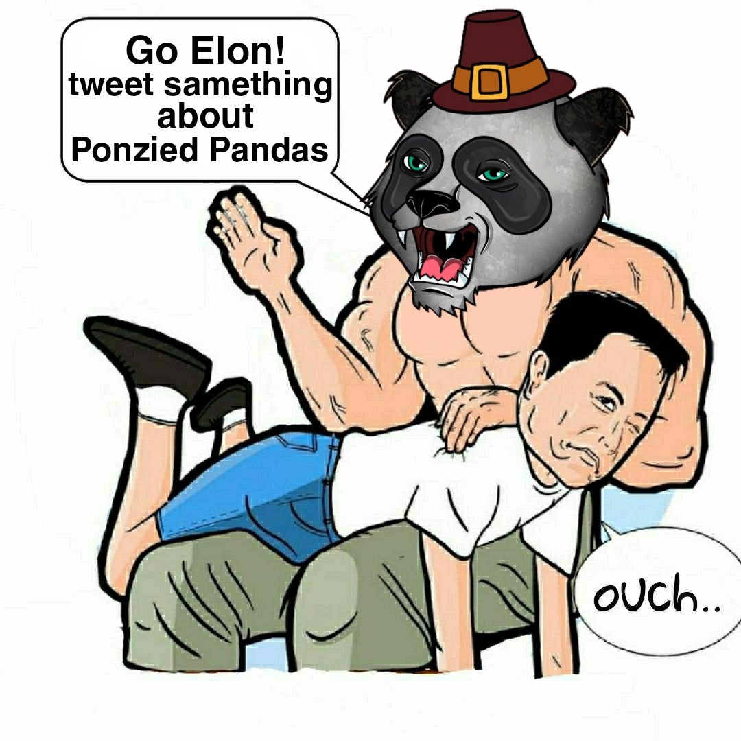 boyo12101's tweet image. My entry meme sir 
@PonziedPandas 
#PandaStrong #NFT #NFTCommunity