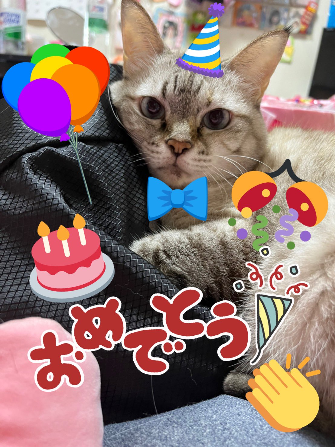 Amtbkwz6yqpm