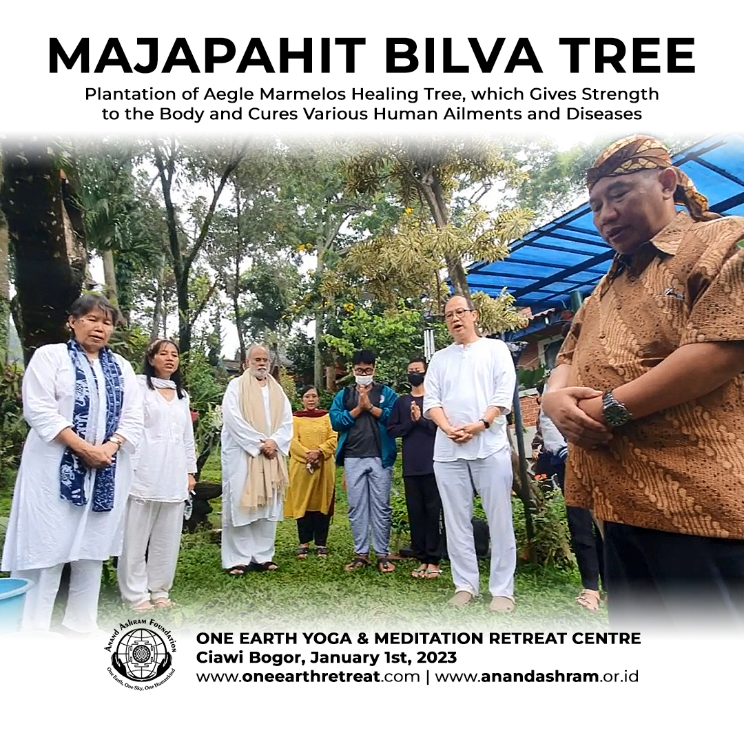 AnandAshram's tweet photo. #Penanaman #PohonMaja di #OneEarthRetreat #Ciawi #Bogor sebagai pengingat #WarisanBudaya #Nusantara.
#Majapahi #DaunMaja #Radiasi #Radioaktif #WarisanNusantara #Linga #Nandi #Shiva #NetralisirRacun #BilvaTree #HealingTree #Penyembuhan #Penyakit #AnandKrishna #AnandAshram https://t.co/DpbZ2SDJ3C