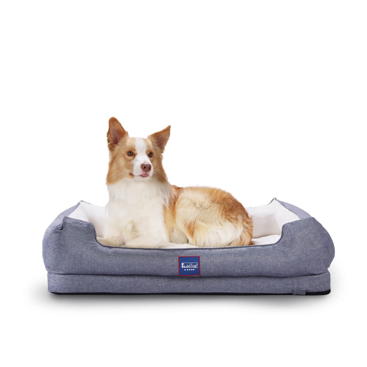 Thepetboutiq (@thepetboutiq) on Twitter photo 