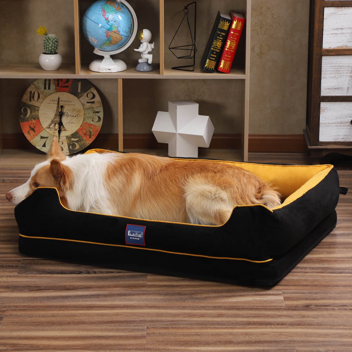 Thepetboutiq (@thepetboutiq) on Twitter photo 