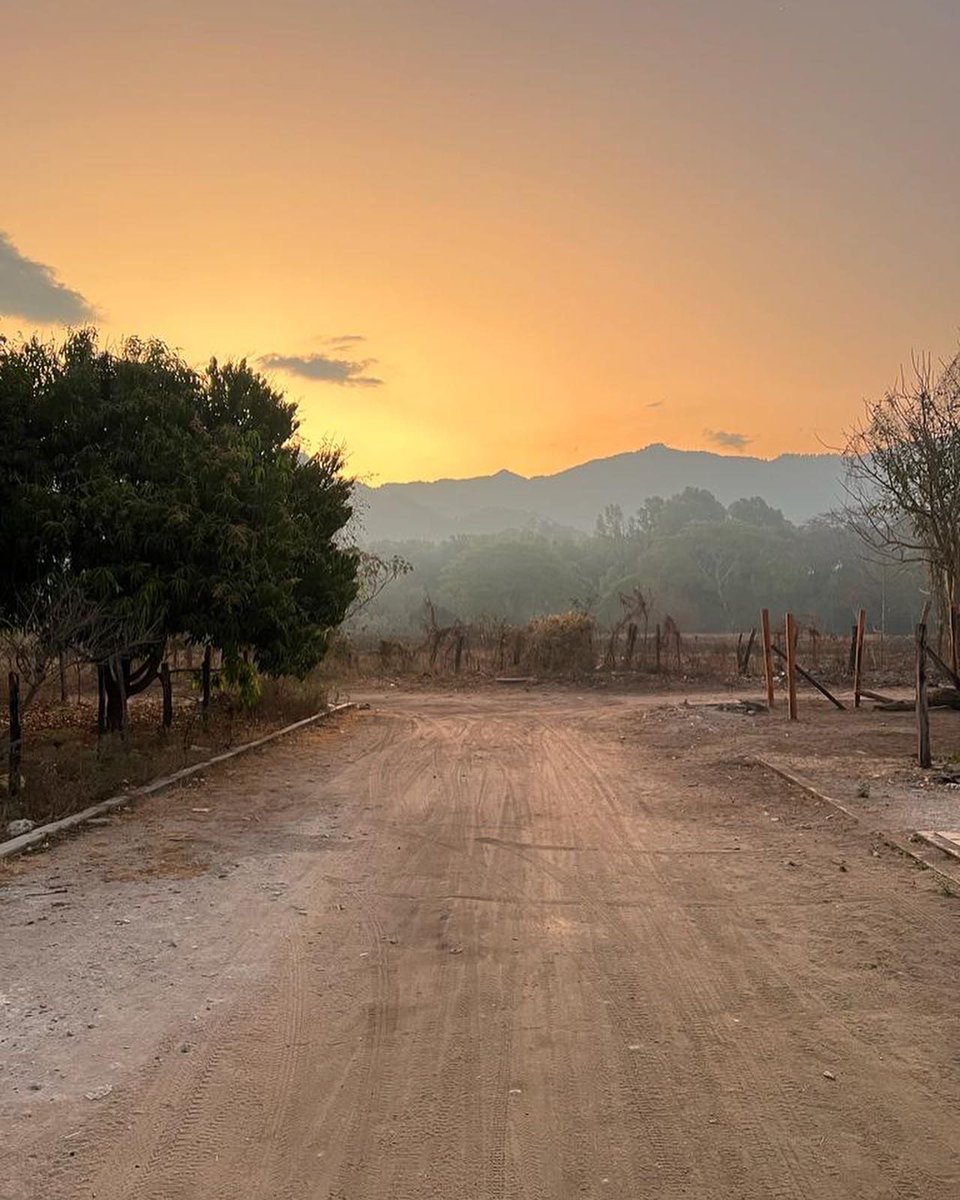 This week we are excited to announce the release of four microlots from Mexico. These coffees represent the hope and goal of establishing meaningful relationships with small farms in the country.

Vividcoffee.com/shop 

#Mexico #coffee #vermont