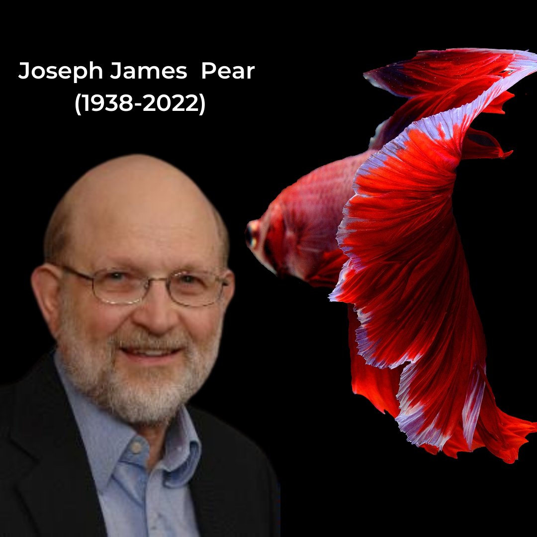 Helder Gusso tweet media