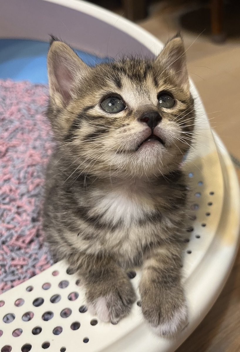 2022haaai's tweet photo. 종종... 
하이의 과거 사진이 
너무 감격스럽다 https://t.co/a0Vsf7Z2j4