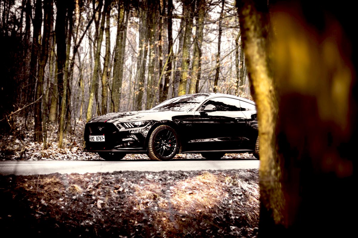 black is the new dig , thought you might like the new whip