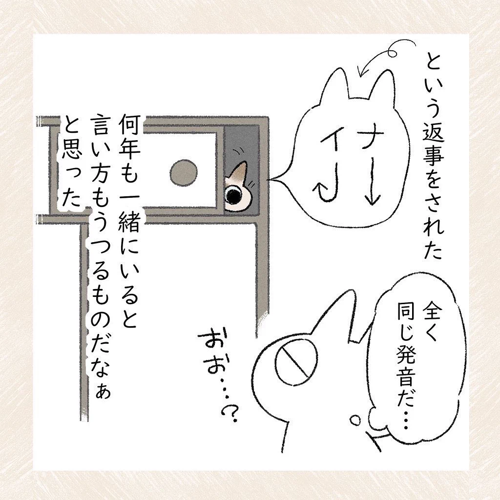 お風呂の外から呼ばれる度にしていた返事を、ある日愛猫が･･･！愛猫とのやりとりを描いた可愛い猫漫画！