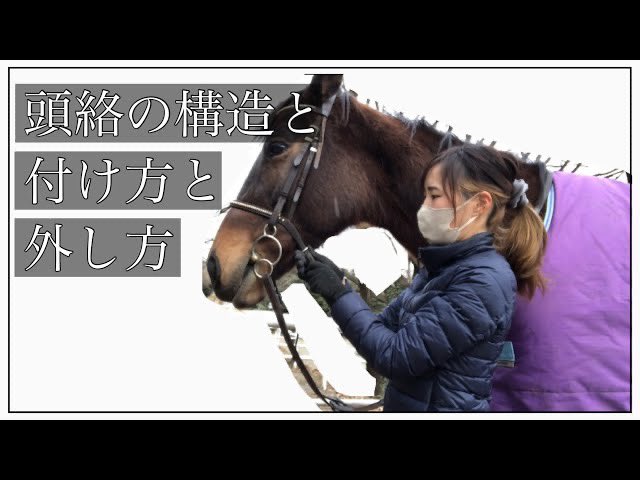 乗馬用品 色々 スターターセット-