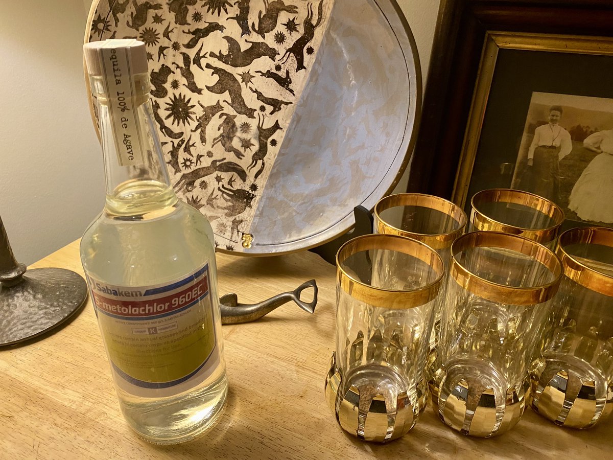 VanmeterKVM's tweet image. My amazing students got me a bottle of tequila (disguised as a bottle of Metolachlor herbicide) to celebrate our newly funded research on metolachlor metabolites as nitrate tracers in US wetlands! #VanMeterLab