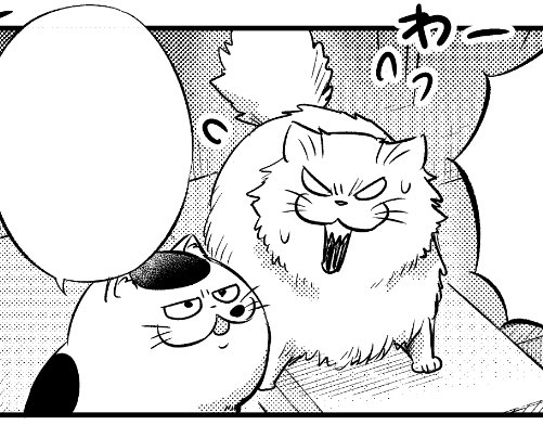 【おじさまと猫 次回本編掲載日のお知らせ】 

96話 にゃんこいっぱい…!

・96話(前半)は1月14日(土)
・96話(後半)は1月21日(土)
 ピクシブガンガン昼12時更新です!
#おじさまと猫 