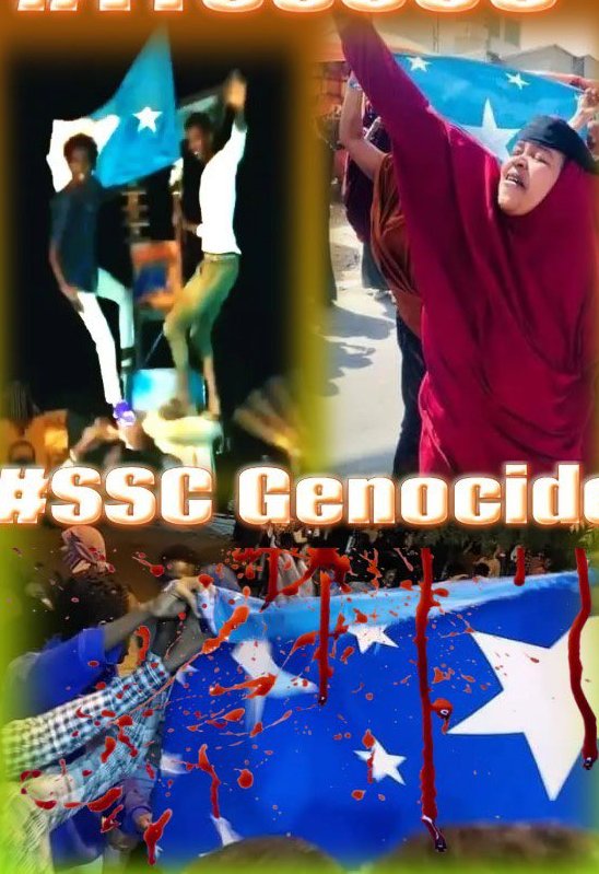 dal_Jir's tweet photo. #SSCGenocide https://t.co/u3pfiojs9o