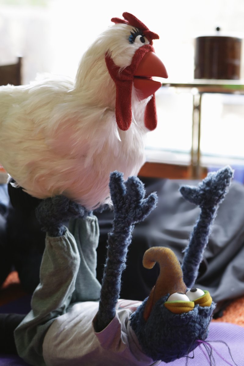 TheMuppets's tweet photo. Looking for creative ways to get in shape in the new year? Gonzo recommends Camilla-sthenics. https://t.co/uDmw92Pagn