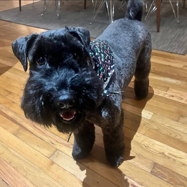 SimthLinder's tweet image. 