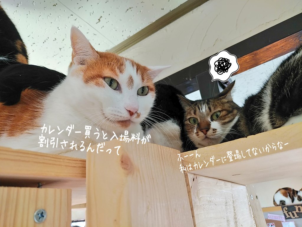 Sppb5afjxhsrgm