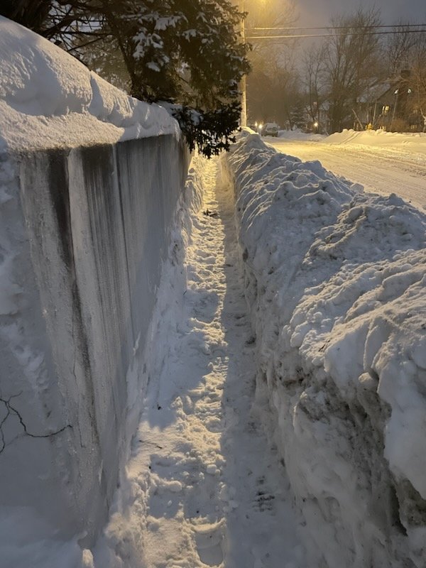 Linda Haug tweet media