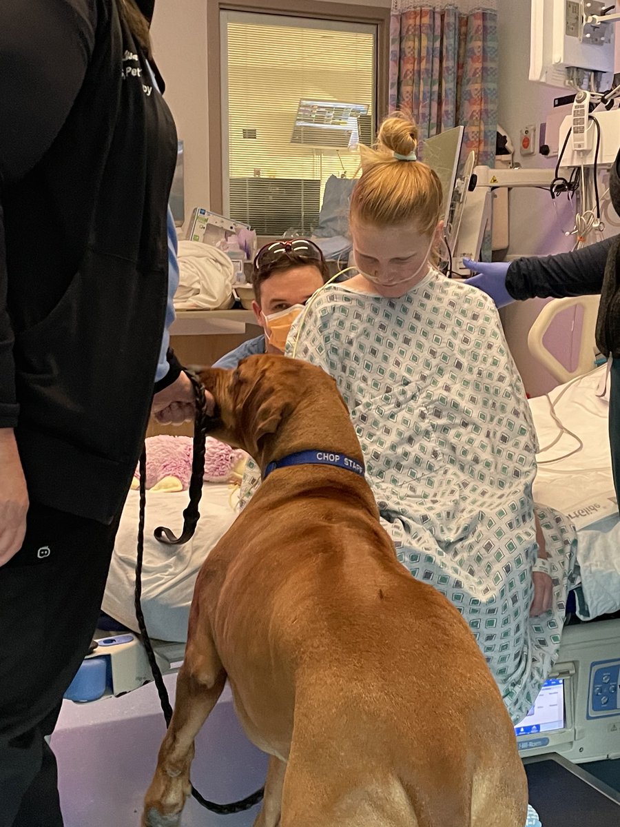 James Molenari tweet media