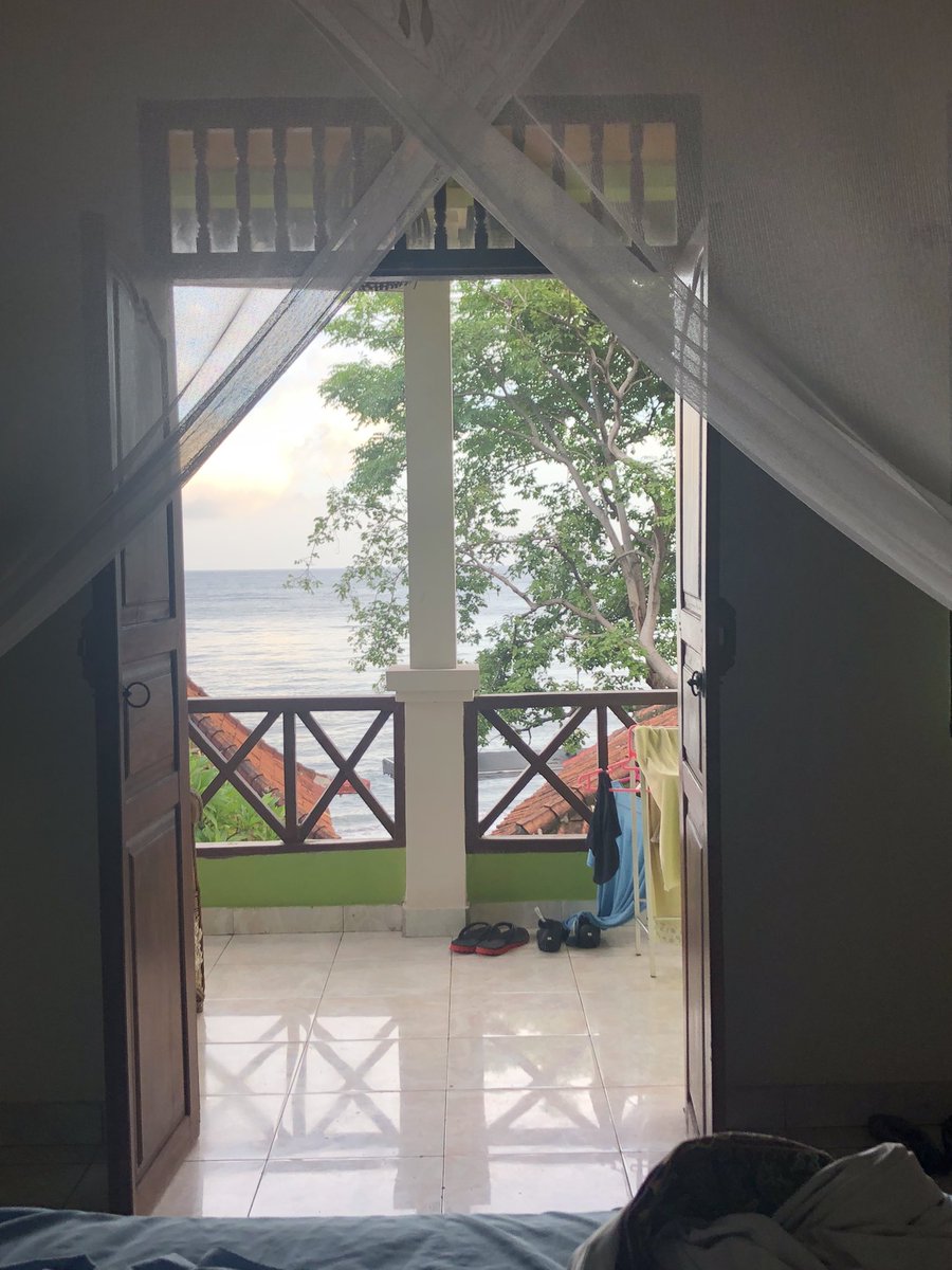 ulli is here … 😎😴🌋