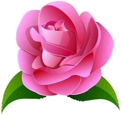 BadrFawkeya's tweet photo. @Mohamed44555290 م.مفيد اسماعيل 
صباح الخبر والامل والورد صديقى العزيز
صع السعادة https://t.co/CaqGRxo7L5